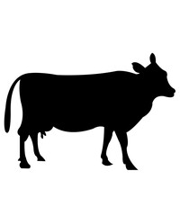 Cow clip art design on plain white transparent isolated background for card, shirt, hoodie, sweatshirt, apparel, card, tag, mug, icon, poster or badge
