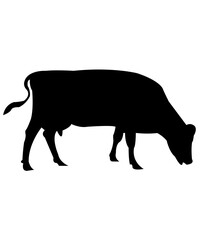 Cow clip art design on plain white transparent isolated background for card, shirt, hoodie, sweatshirt, apparel, card, tag, mug, icon, poster or badge