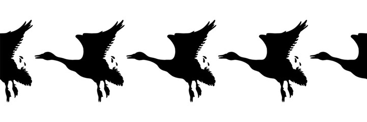 Canada goose. Seamless borders. Pattern of black silhouettes of birds. Vector illustration of flying geese on a white background.