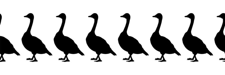 Canada goose. Seamless borders. Pattern of black silhouettes of birds. Vector illustration of geese on a white background.