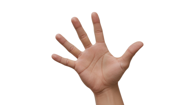 Victory Hand Gesture Isolated on White – Perfect for Icons, Signs, Emojis, Communication, and Graphic Design
