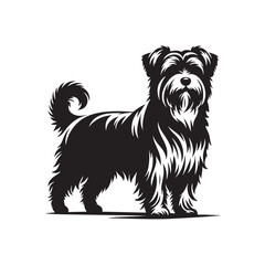 High quality silhouette of the bulldog isolated on white background