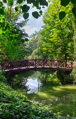 Picturesque wooden foot bridge over the river in green forest park in summer