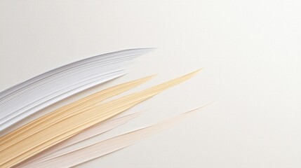 Minimalist neutral-toned feather art on textured background