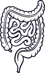 Intestines organ vector Illustration. Intestines vector art with white background. 