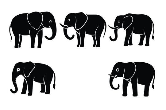 This is cute Elephant icon vecot illustration design 