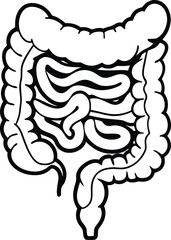 Intestines organ vector Illustration. Intestines vector art with white background. 