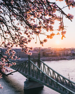 Budapest, Liberty bridge sunrise