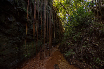 View of Cânion Sussuapara (Canyon Sussuapara) at Jalapão State Park - Tocantins, Brazil