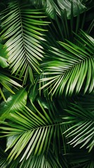 Lush Green Palm Leaves Overlapping in Natural Tropical Abundance : Generative AI