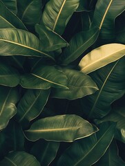 Obraz premium Lush Green Tropical Leaves Creating an Exotic Natural Pattern for Nature Inspired Design : Generative AI