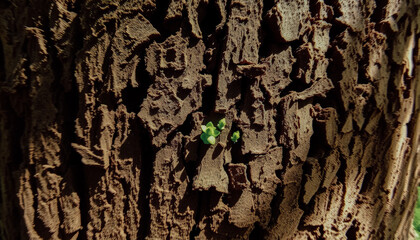 Green leaves sprouting from rugged tree bark, bathed in natural sunlight, representing nature's resilience and growth.