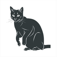 Majestic Black Persian  Cat  Elegant Pet Photography for Home Decor and Lifestyle