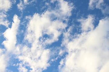 Obraz premium Blue sky