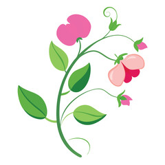 Creative Different summer flowers and gardening design on a white background