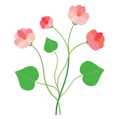 Vector illustration of a pink rose flower, capturing its natural beauty and floral design