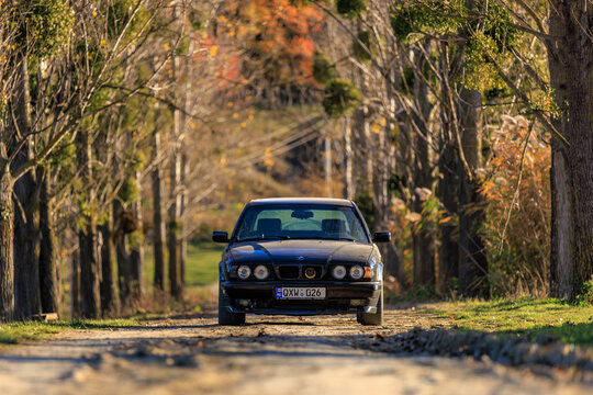 BMW E34 station wagon driving along a rural tree-lined road in Leordoaia Moldova, November 3, 2024