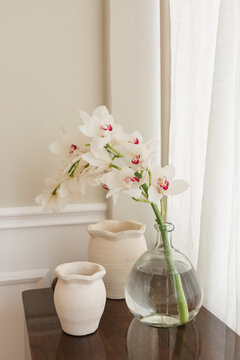 Close-up of a flowering white Boat Orchid in a glass vase with two ceramic vases on a wooden chest of drawers in a living room