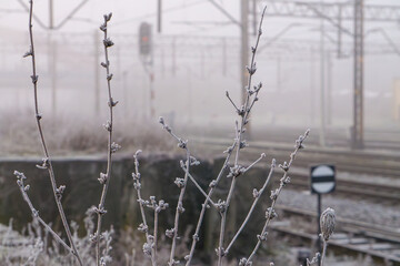 morning fog on a winter morning. frozen bushes, ice on bushes overlooking the railway area, railway signs and frozen railway infrastructure. technical problems.