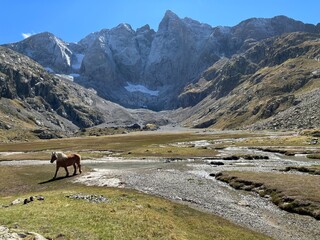  Dando un paseo por el Vignemale, pirineo franc&eacute;s. Caballos y paisajes de alta monta&ntilde;a,Lago e ib&oacute;n