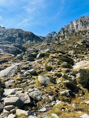 Alta montaña pirineo aragonés y pirineo francés