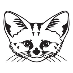 Sand Cat Photography – Wild Beauty in Harsh Landscapes