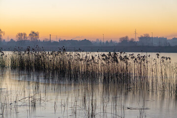 Naklejka premium beautiful colorful sunrise over the lake. winter landscape of a water body. reeds by the beach.