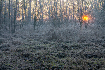 the rising sun over frozen meadows and fields. winter countryside landscape. ice on dried plants in winter. warm colors of sunrise in the morning. dawn.