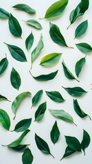 91. A creative layout of intertwined green and dry leaves on a pristine white backdrop