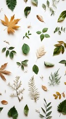 97. A peaceful collection of dry and green leaves scattered across white paper