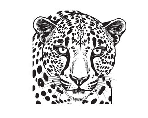 black and white line art cheetah illustration, clear background, vector