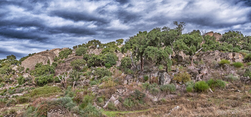 Protected Landscape Monte Valcorchero y Sierra del Gordo, UICN, Plasencia, Cáceres, Extremadura,...