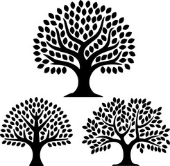Sacred Symbol of Wisdom, Life and Spiritual Growth