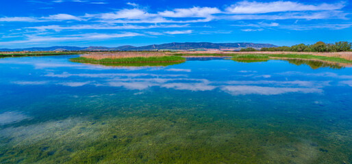 Tablas de Daimiel National Park, Daimiel, Ciudad Real, Castilla La Mancha, Spain, Europe