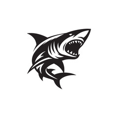 Shark silhoutee vector on white background 