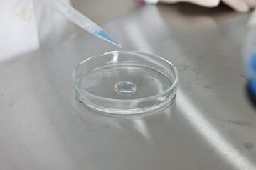Scientist dripping reagent into Petri dish at table in laboratory, closeup