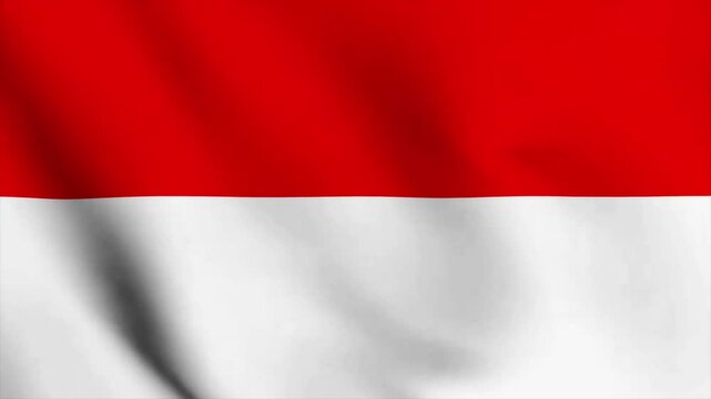 Animated Video Featuring the Wavy Flag of INDONESIA