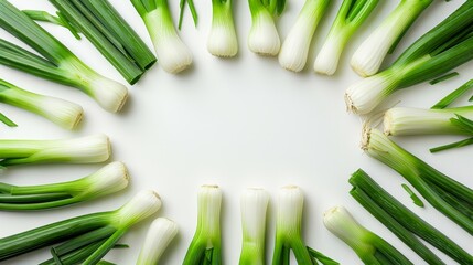 leek on white background. empty space for your text