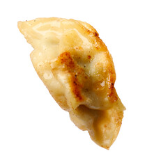 One fried gyoza dumpling isolated on white