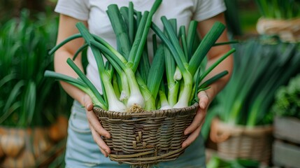 a woven basket with fresh leek from the garden