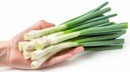 a hand holds a bunch of fresh leek