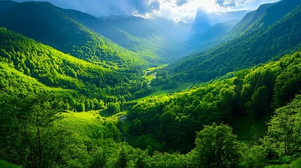 Lush Green Mountain Valley Sunlight Landscape