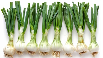 leek arranged in rows and top view on white background