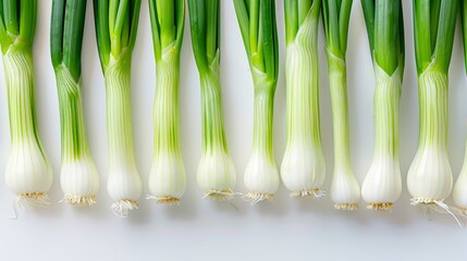 leek arranged in rows and top view on white background