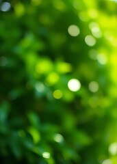 Fototapeta premium Blurred natural green background - bokeh glare bokeh green bokeh green abstract background light bright blur pattern