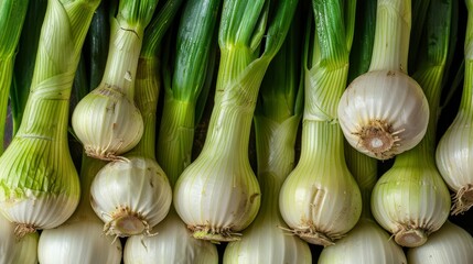fresh leek with a view above