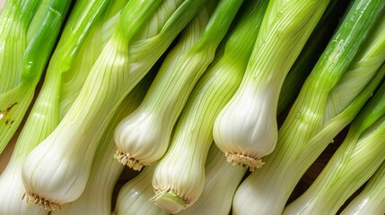 leek spread out with a bright color