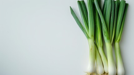 leek on white background with empty space