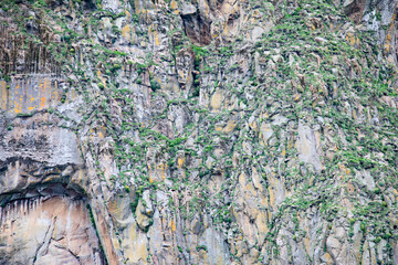 Fototapeta premium Westman islands archipelago,