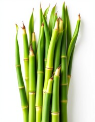 Obraz premium A Vibrant Composition of Fresh Bamboo Stalks Against a Clean White Background
